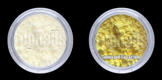 PHOTOchromic pigment YELLOW